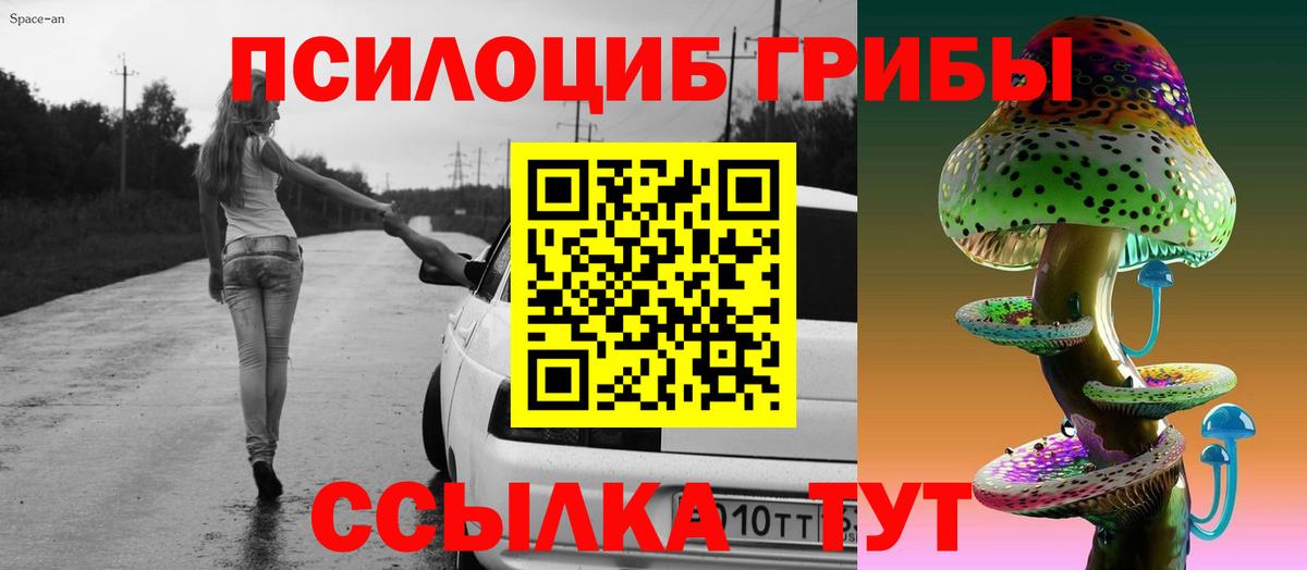 цена наркотик  Галлюциногенные грибы GOLDEN TEACHER  Вход с VPN  Шахты  Псилоцибиновые грибы ЛСД 